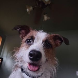 Meet your Posher, Mark